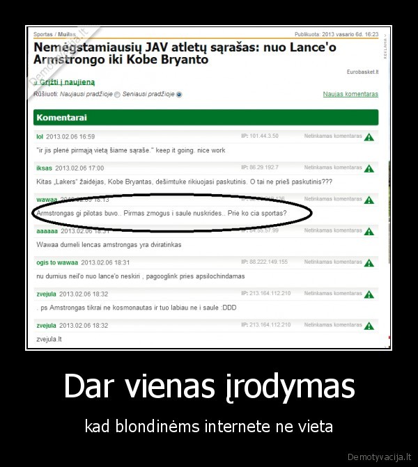 Dar vienas įrodymas - kad blondinėms internete ne vieta