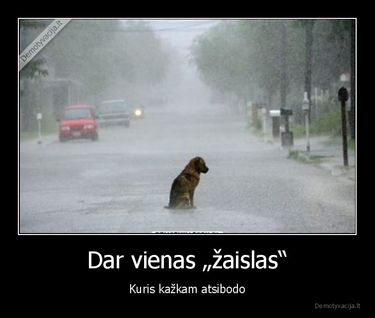 Dar vienas „žaislas“ - Kuris kažkam atsibodo