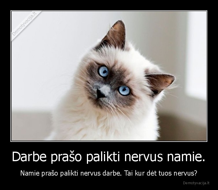 Darbe prašo palikti nervus namie. - Namie prašo palikti nervus darbe. Tai kur dėt tuos nervus?