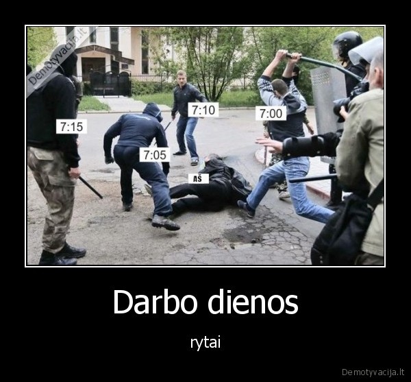 Darbo dienos - rytai