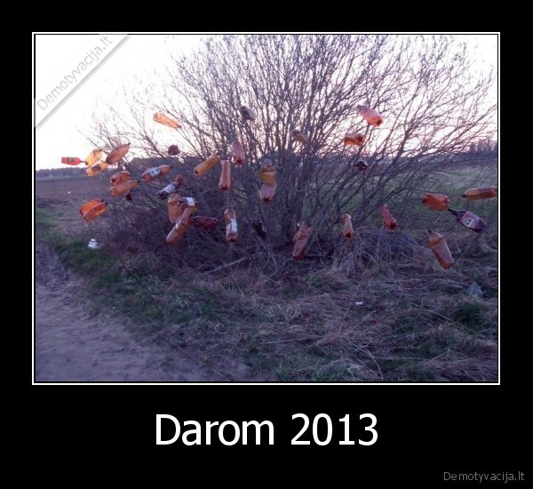 Darom 2013 - 