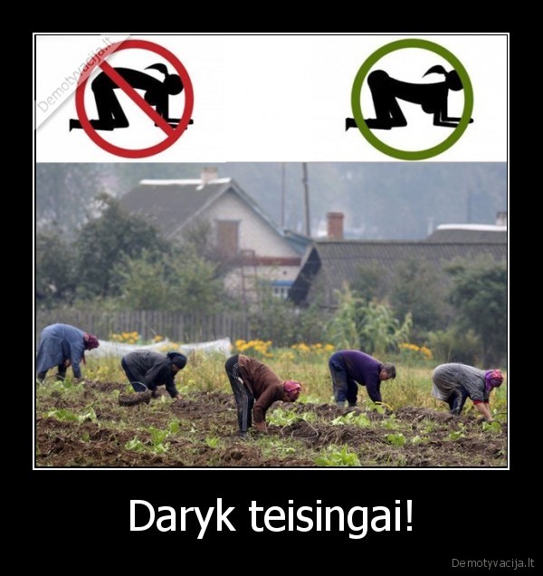 Daryk teisingai! - 