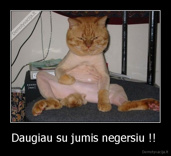 Daugiau su jumis negersiu !!  - 