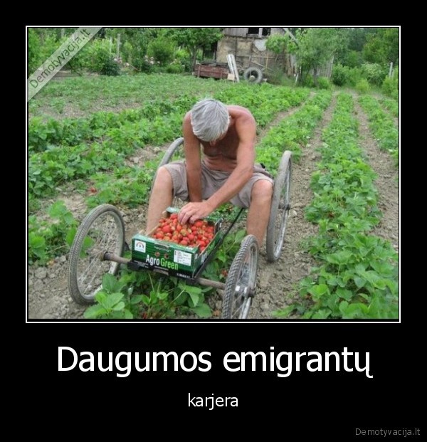 Daugumos emigrantų - karjera