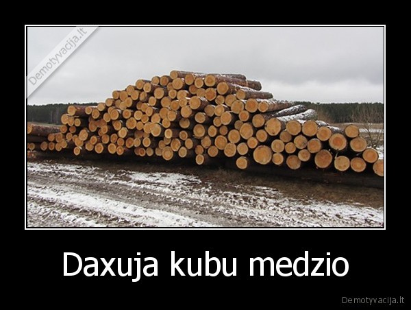 Daxuja kubu medzio - 