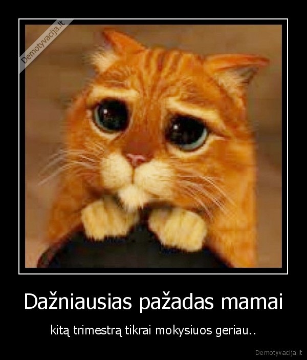 Dažniausias pažadas mamai - kitą trimestrą tikrai mokysiuos geriau..