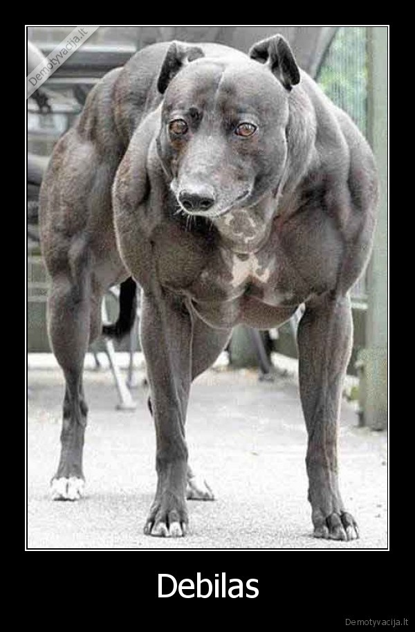 Debilas - 