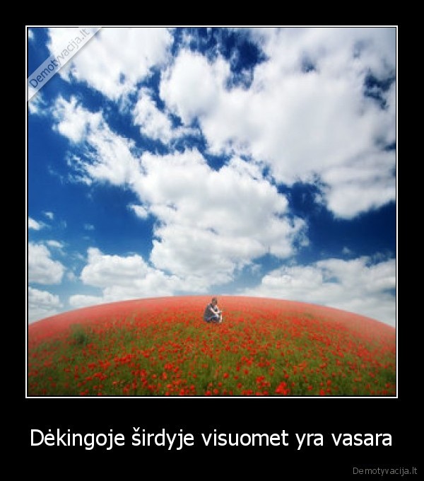 Dėkingoje širdyje visuomet yra vasara - 