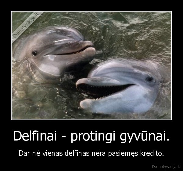 Delfinai - protingi gyvūnai. - Dar nė vienas delfinas nėra pasiėmęs kredito.