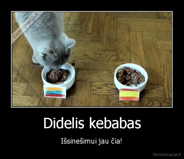 Didelis kebabas - Išsinešimui jau čia!