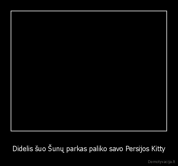 Didelis šuo Šunų parkas paliko savo Persijos Kitty - 