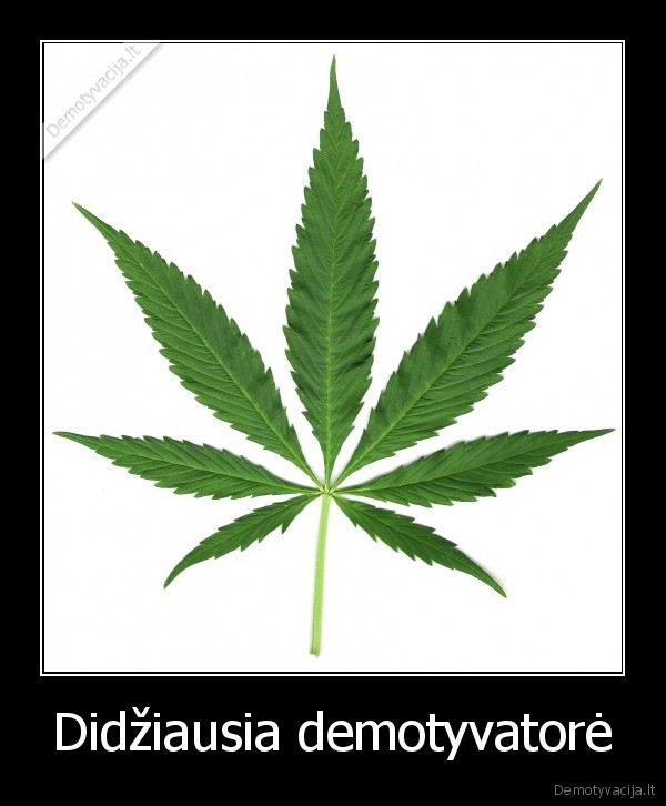 Didžiausia demotyvatorė - 