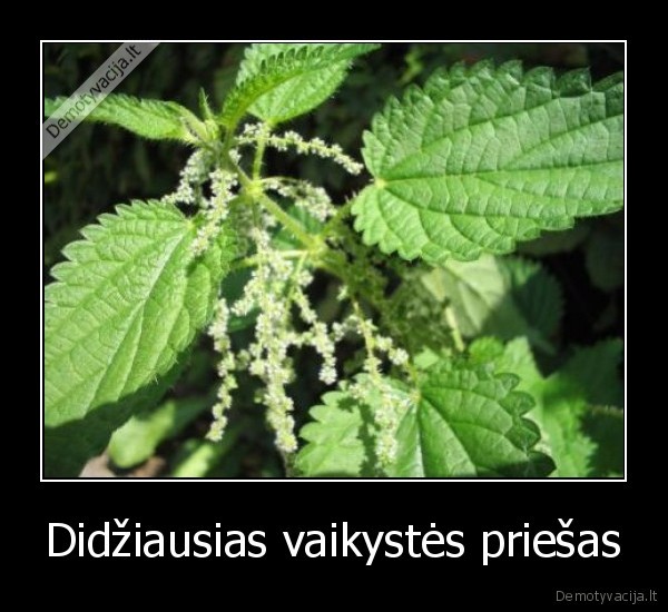 Didžiausias vaikystės priešas - 