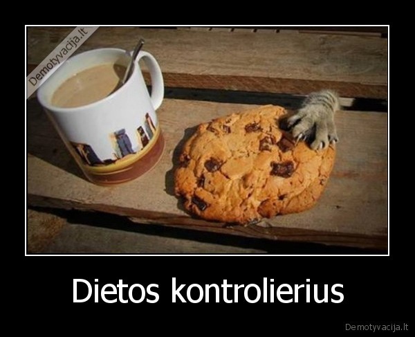 Dietos kontrolierius - 