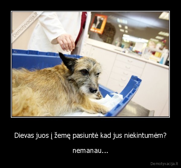 Dievas juos į žemę pasiuntė kad jus niekintumėm? - nemanau...