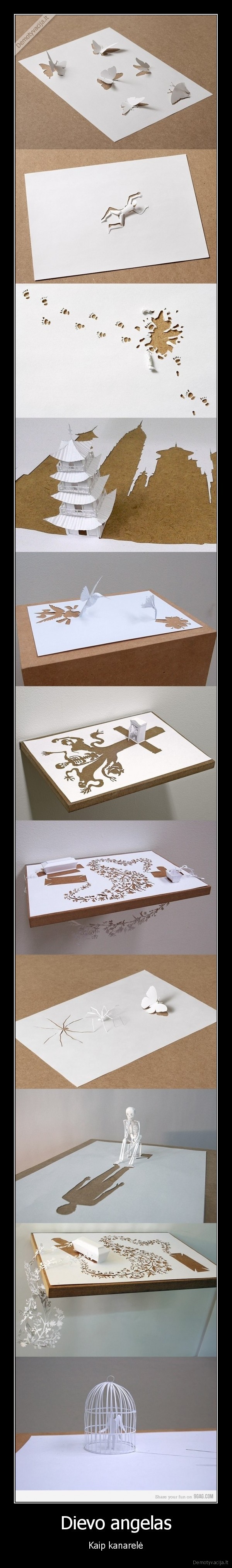 Dievo angelas - Kaip kanarelė