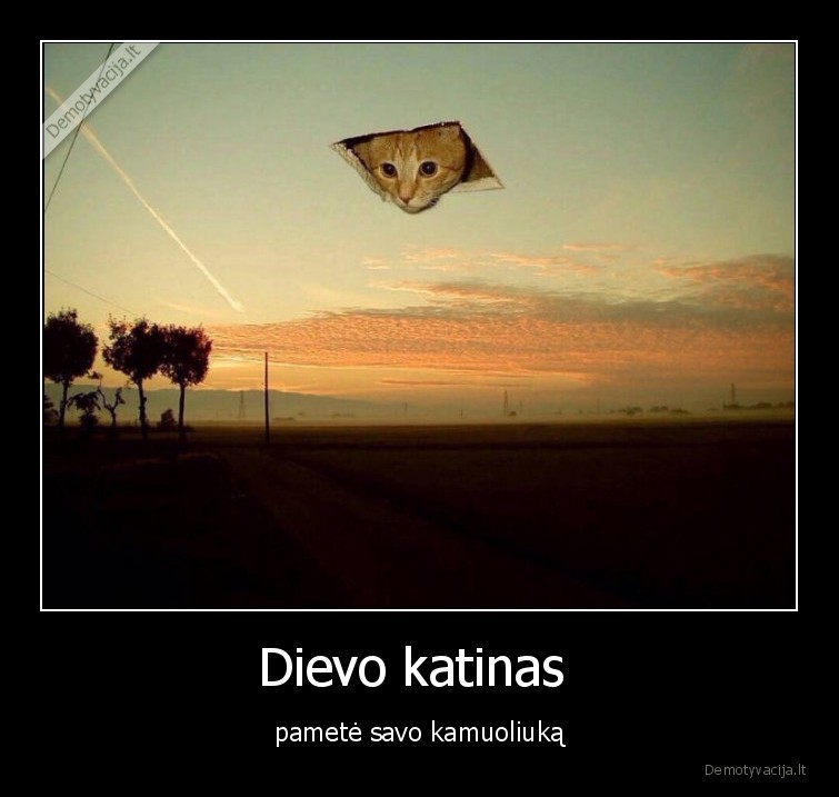 Dievo katinas  - pametė savo kamuoliuką