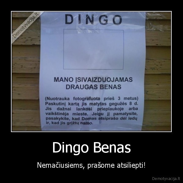 Dingo Benas - Nemačiusiems, prašome atsiliepti!