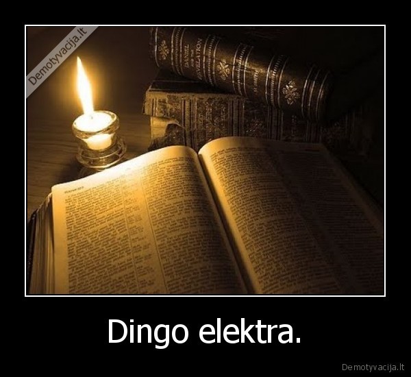 Dingo elektra. - 