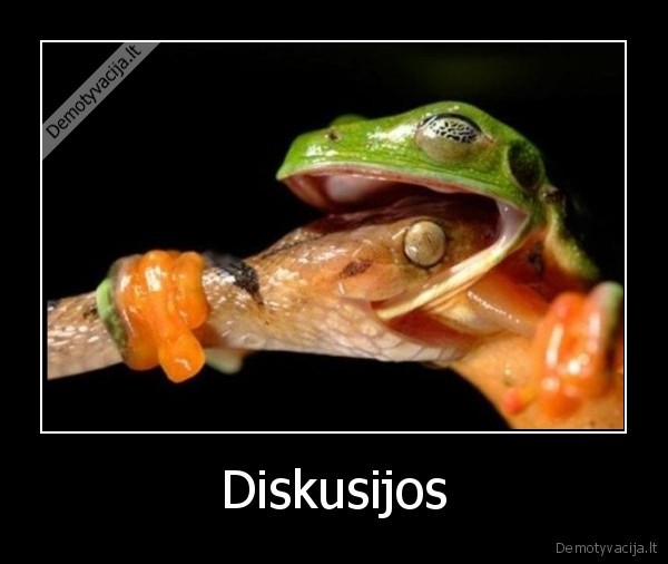 Diskusijos - 