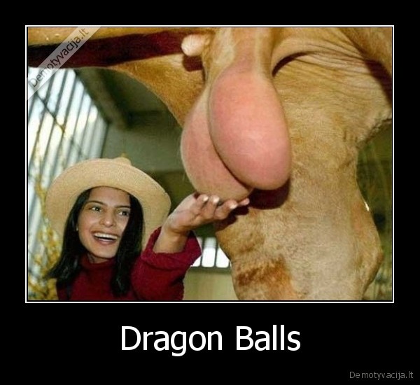 Dragon Balls - 