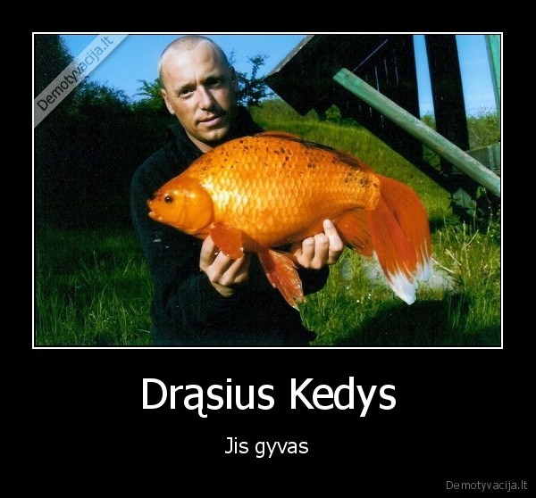 Drąsius Kedys - Jis gyvas