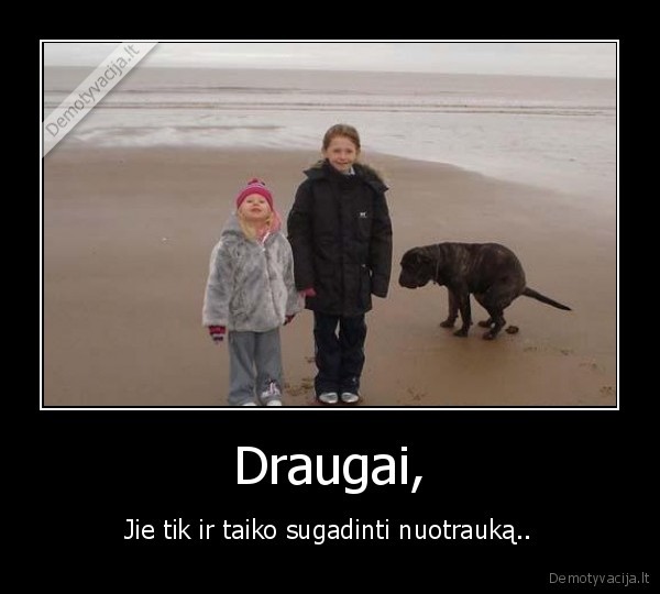 Draugai, - Jie tik ir taiko sugadinti nuotrauką..