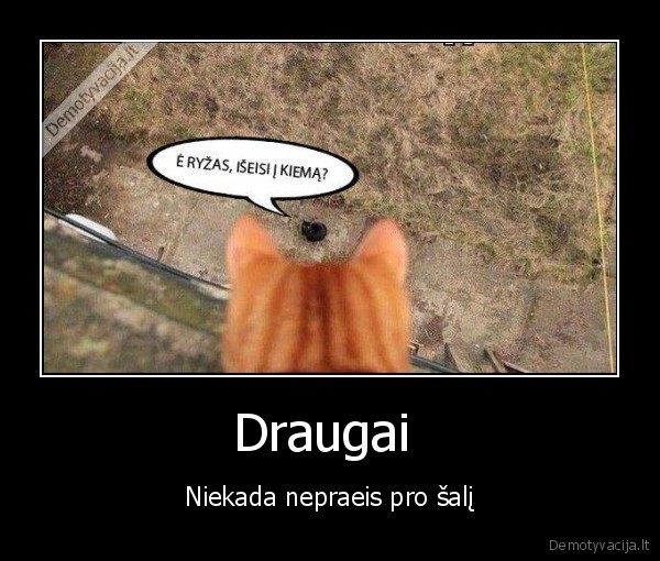 Draugai  - Niekada nepraeis pro šalį