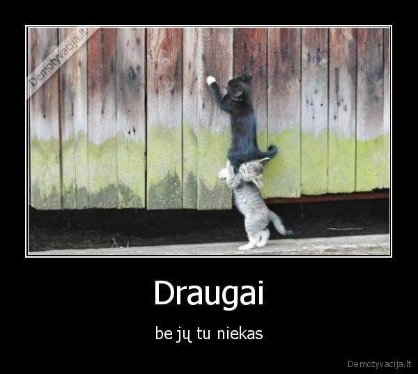 Draugai - be jų tu niekas