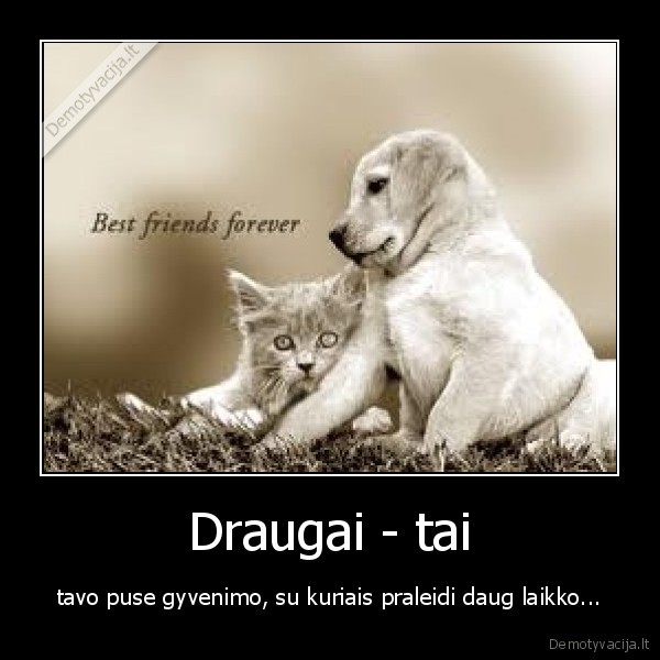 Draugai - tai - tavo puse gyvenimo, su kuriais praleidi daug laikko...