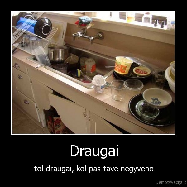 Draugai - tol draugai, kol pas tave negyveno