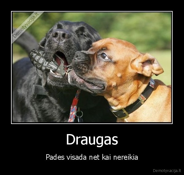 Draugas - Pades visada net kai nereikia