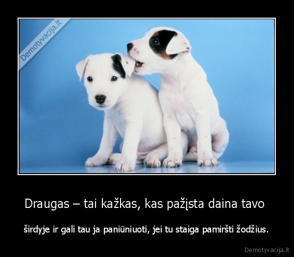 Draugas – tai kažkas, kas pažįsta daina tavo  - širdyje ir gali tau ja paniūniuoti, jei tu staiga pamiršti žodžius.