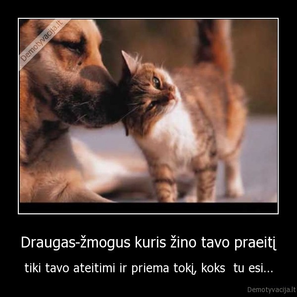 Draugas-žmogus kuris žino tavo praeitį - tiki tavo ateitimi ir priema tokį, koks  tu esi...