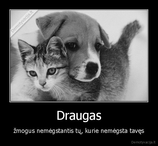 Draugas - žmogus nemėgstantis tų, kurie nemėgsta tavęs