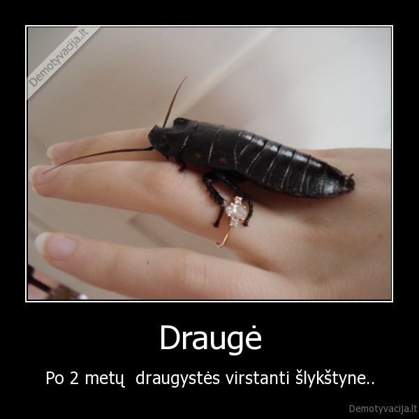 Draugė - Po 2 metų  draugystės virstanti šlykštyne..