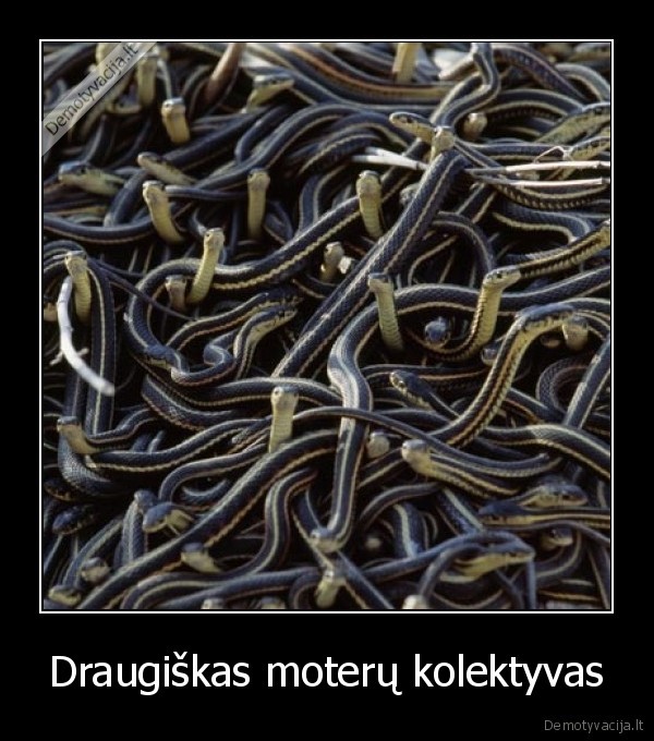 Draugiškas moterų kolektyvas - 