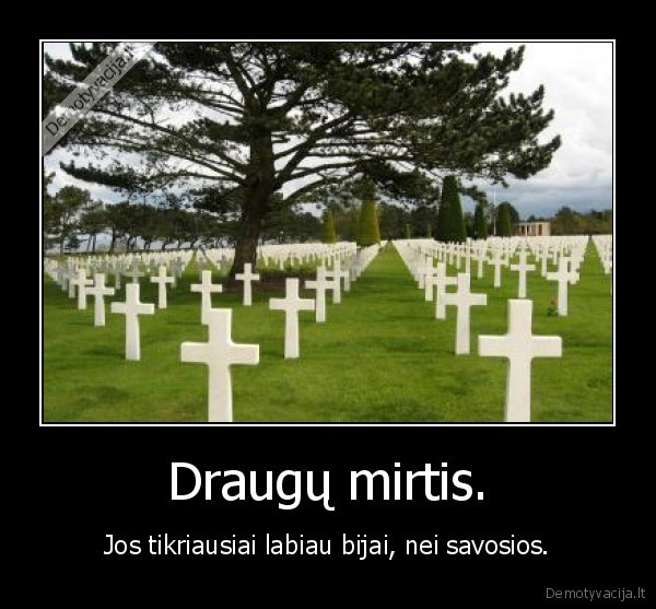 Draugų mirtis. - Jos tikriausiai labiau bijai, nei savosios.