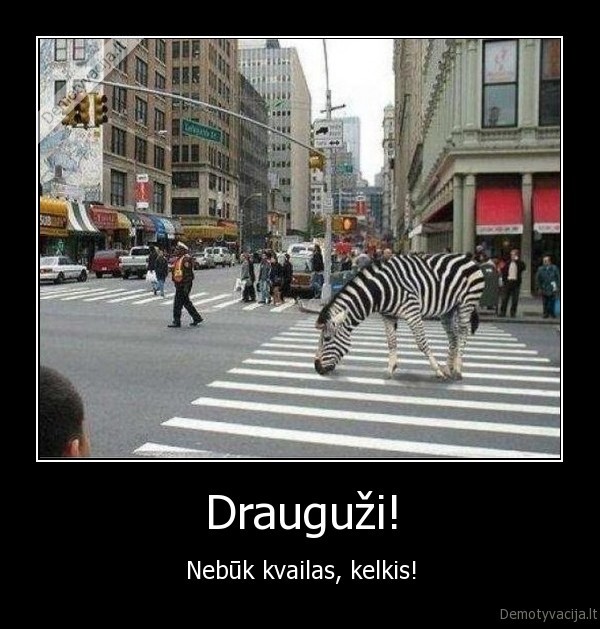 Drauguži! - Nebūk kvailas, kelkis!