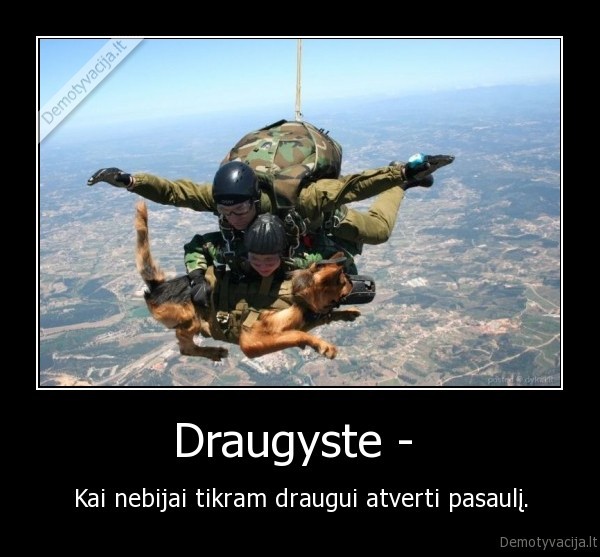 Draugyste -  - Kai nebijai tikram draugui atverti pasaulį.