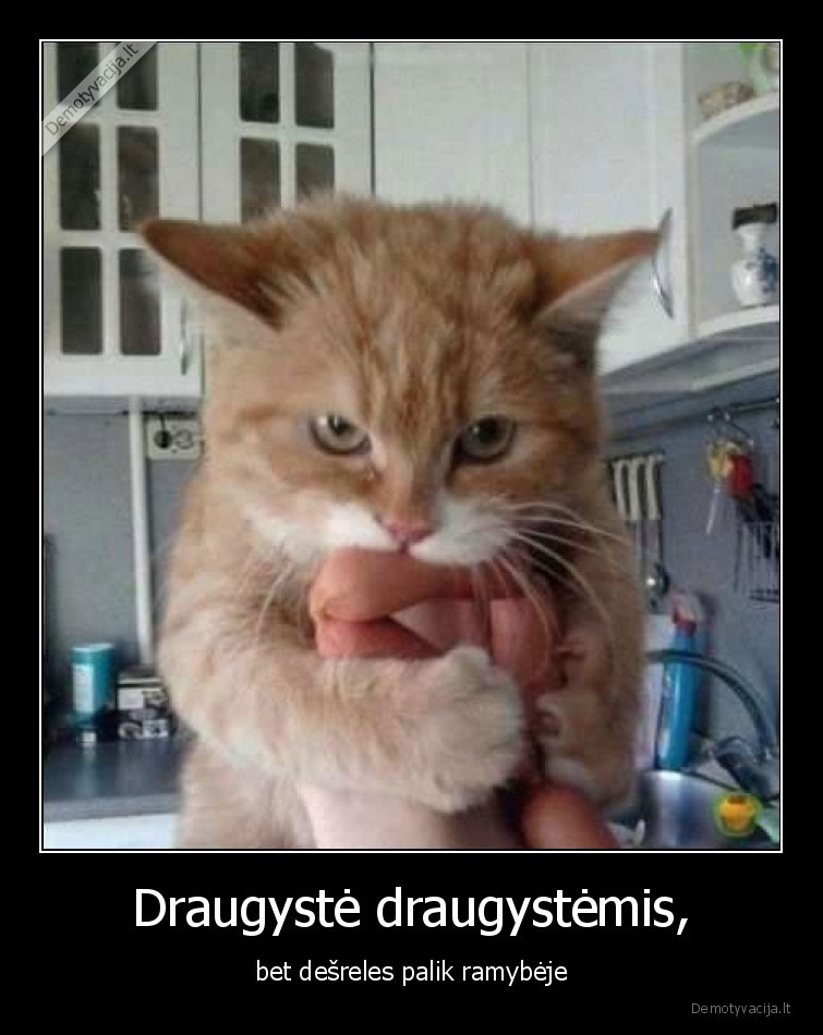 Draugystė draugystėmis, - bet dešreles palik ramybėje