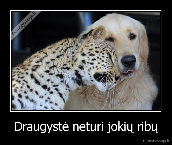 Draugystė neturi jokių ribų - 