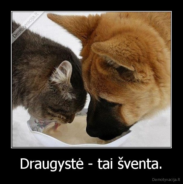 Draugystė - tai šventa. - 