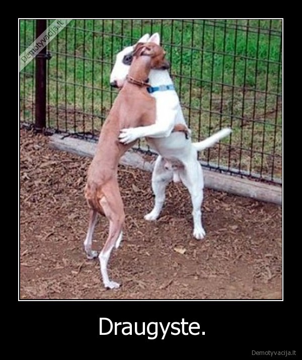 Draugyste. - 