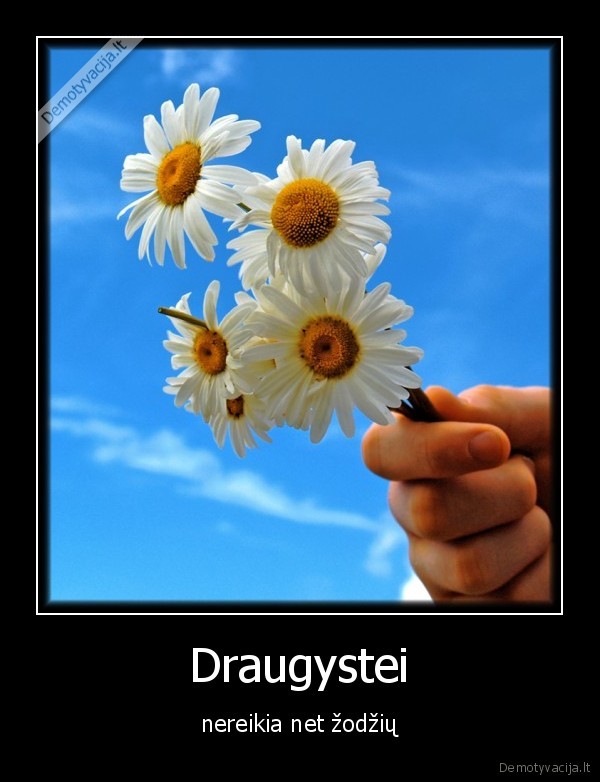 Draugystei - nereikia net žodžių