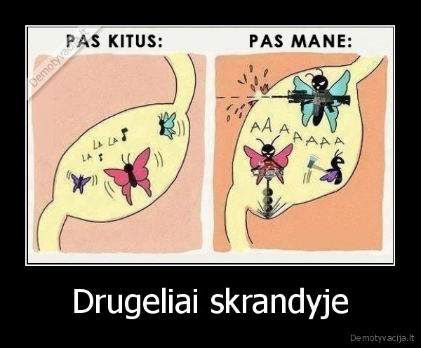 Drugeliai skrandyje - 