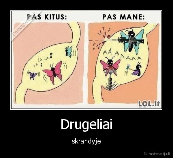 Drugeliai - skrandyje