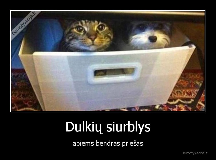 Dulkių siurblys - abiems bendras priešas