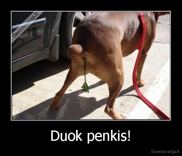 Duok penkis! - 