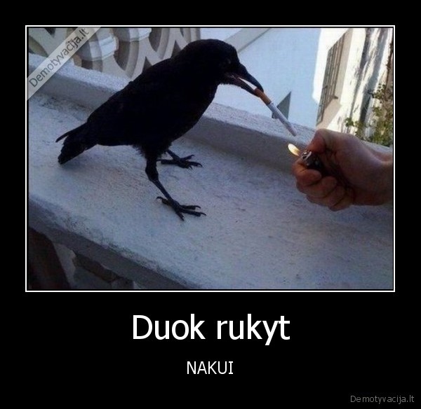 Duok rukyt - NAKUI